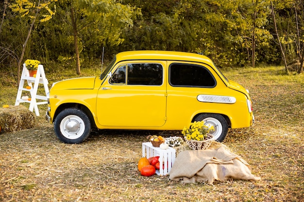 Herbsthintergrund gelbes Retro- Auto im Herbstparkhintergrund mit Blumen und Kürbisen