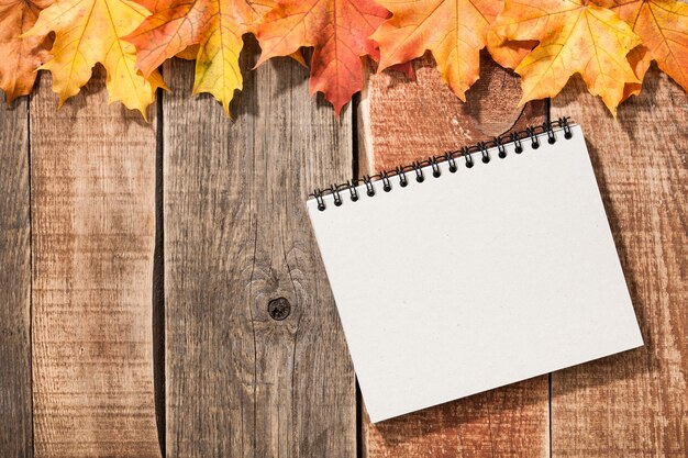 Herbsthintergrund mit Ahornblättern und Notizblock