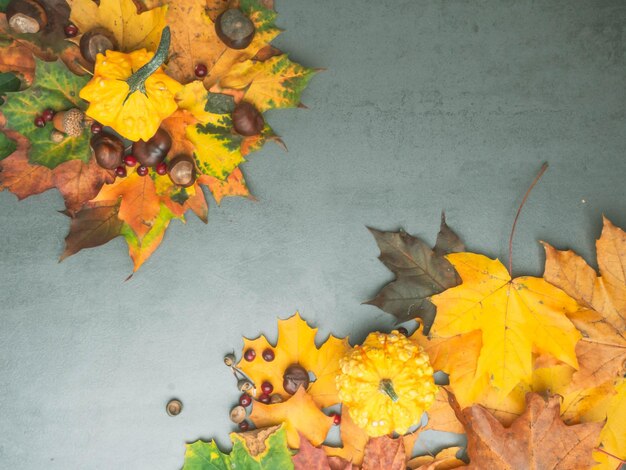 Herbsthintergrund mit bunten Ahornblättern und Kürbiskörnern Kastanien Rahmen der Herbsternte mit Kopierbereich Mockup für saisonale Angebote und Urlaubspostkarte