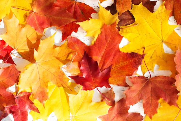 Herbsthintergrund mit bunten hellen Blättern