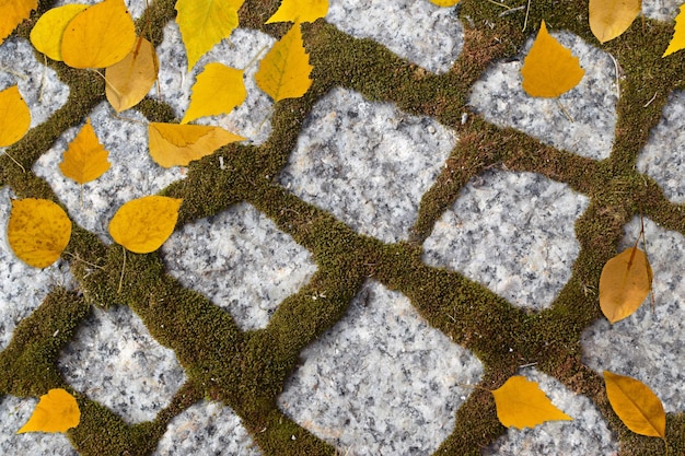 Herbsthintergrund mit gelben blättern auf altem grauem pflaster oder granitkopfsteinstraße draufsicht. Herbsttextur mit alten Ziegelsteingranitfliesen