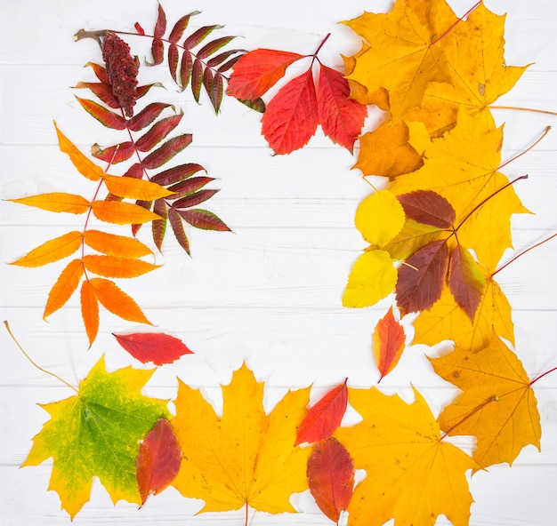 Herbsthintergrund mit gelben, roten und grünen Blättern auf weißem Holzschreibtisch mit Kopienraum.