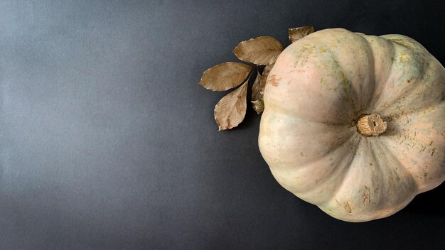 Herbsthintergrund mit großem hellem Kürbis und trockenem Blatt auf schwarzer Oberfläche. Herbsttapete von oben.