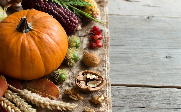 Herbsthintergrund mit Kürbis auf einem grauen hölzernen Tischtisch schließen