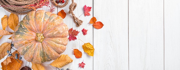 Herbsthintergrund mit Kürbis und Laub Das Konzept von Thanksgiving