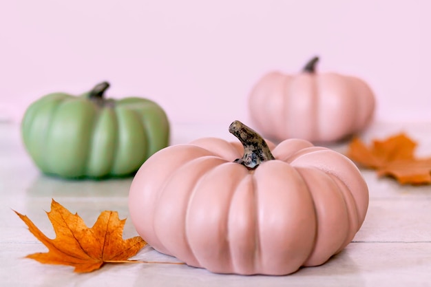 Herbsthintergrund mit rosa und grünen Kürbissen und Blättern in Pastelltönen auf rosa Hintergrund.