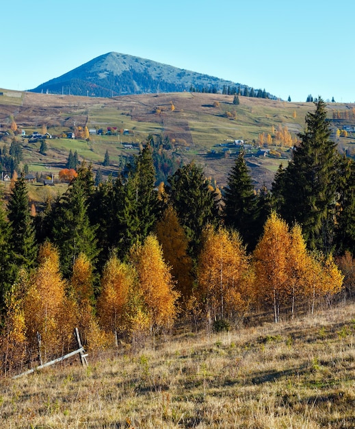 Herbstkarpatendorf Ukraine