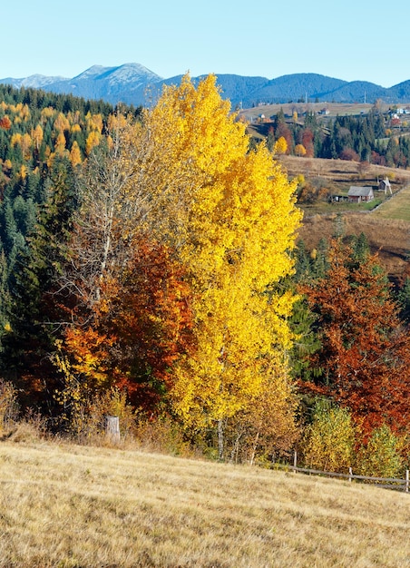 Herbstkarpatendorf Ukraine