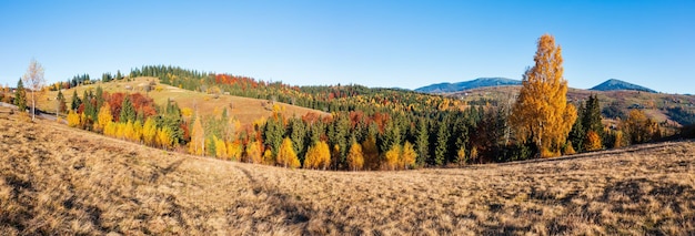 Herbstkarpatendorf Ukraine