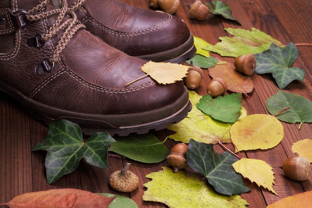 Herbstkollektion von Schuhen - Damenschuhe auf Holzuntergrund mit trockenen Blättern