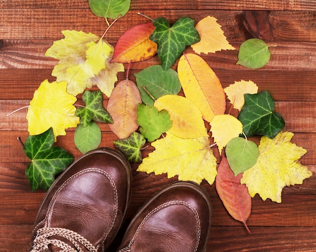 Herbstkollektion von Schuhen - Damenschuhe auf Holzuntergrund mit trockenen Blättern