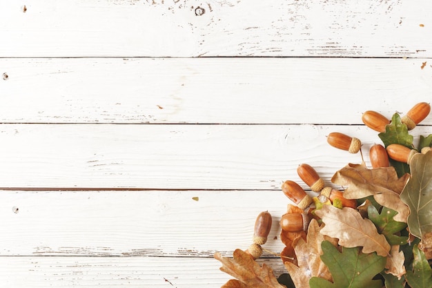 Herbstkomposition aus Eicheln und trockenen Eichenblättern auf einem weißen Holztisch Draufsicht Kopierbereich