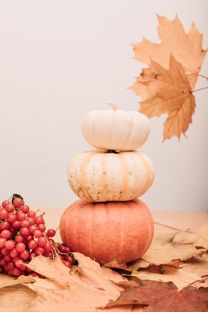 Herbstkomposition aus kleinen Kürbissen und Viburnum