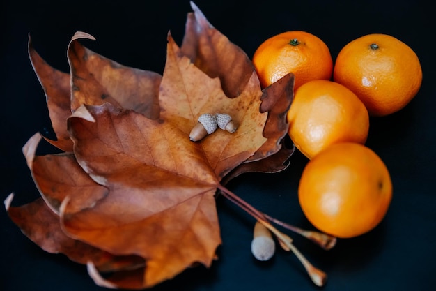 Herbstkomposition aus Orangenblättern, Mandarinen und Eicheln