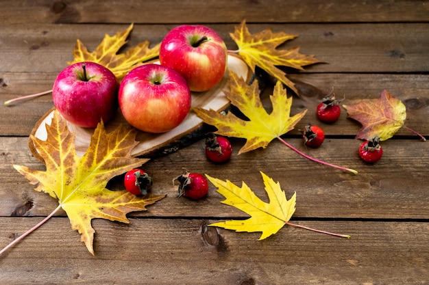 Herbstkomposition aus Äpfeln, Ahornblättern und Hagebutten auf einem Holztisch