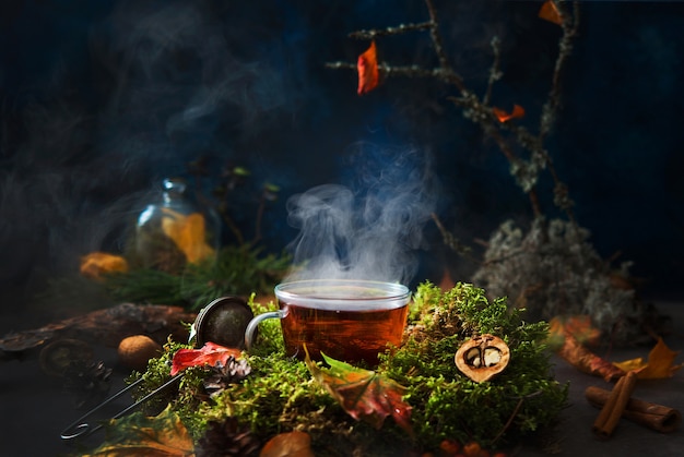 Herbstkomposition, eine Tasse heißen Tee mit Dampf, umgeben von Waldlandschaft, kreatives Bild