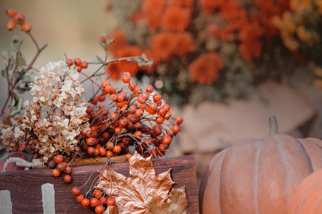 Herbstkomposition Halloween und Thanksgiving Dekor Kürbisse