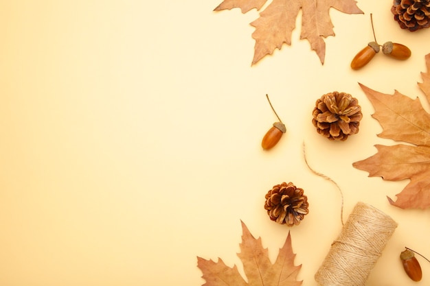 Herbstkomposition. Herbstblätter und Mais, Tannenzapfen, Anisstern. Flache Lage, Draufsicht, Kopierraum