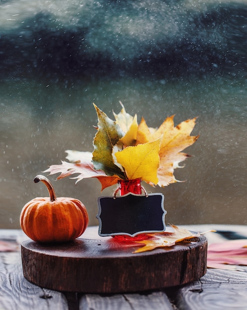 Foto herbstkomposition im freien. herbst.