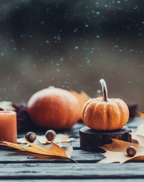 Foto herbstkomposition im freien. herbst.