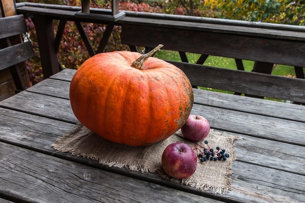 Herbstkomposition Kürbisäpfel Trauben auf einem Holztisch auf der Terrasse