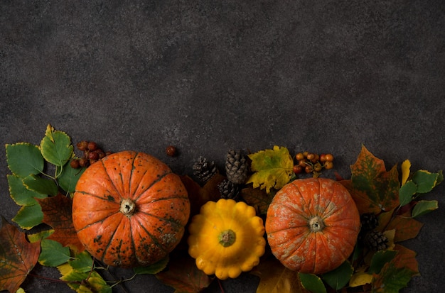 Herbstkomposition mit bunten frischen Kürbissen und Herbstblättern, Erntedankfest, Draufsicht, Exemplar