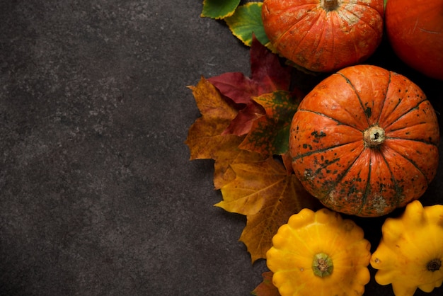 Herbstkomposition mit bunten frischen Kürbissen und Herbstblättern, Thanksgiving, Herbsthintergrund, Draufsicht, Exemplar