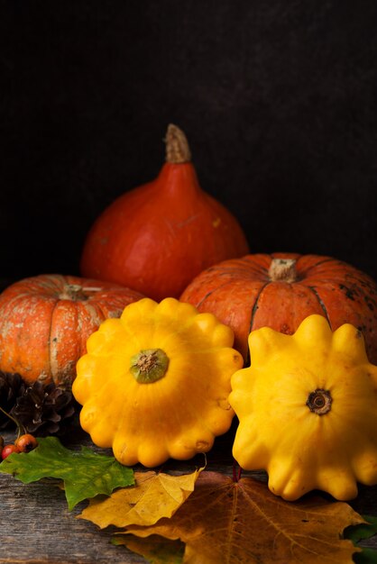 Herbstkomposition mit bunten frischen Kürbissen und Herbstblättern, Thanksgiving, Herbsthintergrund, Exemplar