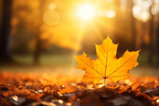 Herbstkomposition mit Kopienraum