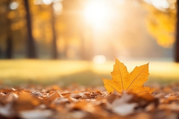 Herbstkomposition mit Kopierraum