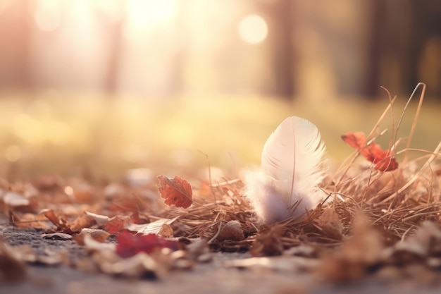 Herbstkomposition mit Kopierraum