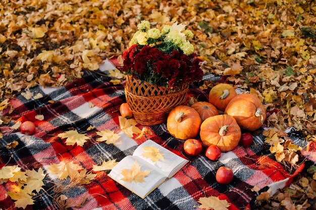 Herbstkomposition mit Kürbisahornblättern und roten Äpfeln und Blumen