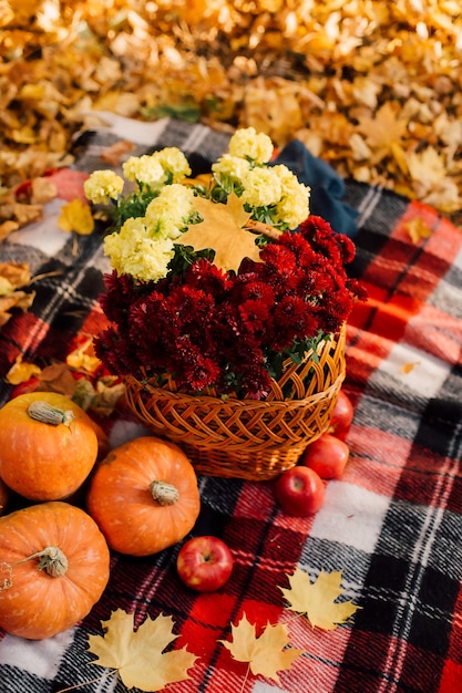 Herbstkomposition mit Kürbissen, Ahornblättern und roten Äpfeln und Blumen.