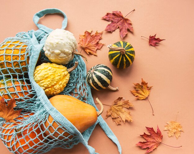 Herbstkomposition mit verschiedenen Kürbissen in Öko-String-Tasche, Thanksgiving-Hintergrund.