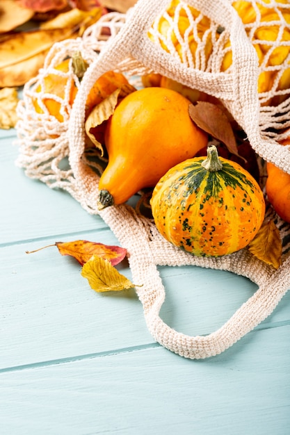 Herbstkomposition mit verschiedenen Kürbissen in weißer Schnurtasche, Thanksgiving-Hintergrund. Platz kopieren.