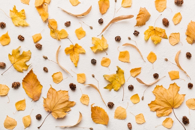 Herbstkomposition Muster aus getrockneten Blättern und anderen Designaccessoires auf dem Tisch Flache Ansicht von oben