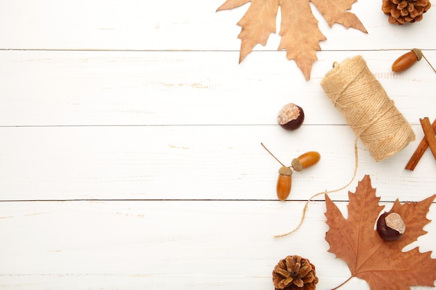 Herbstkomposition, Rahmen aus Tannenzapfen, Eicheln und Kastanien auf Weiß.