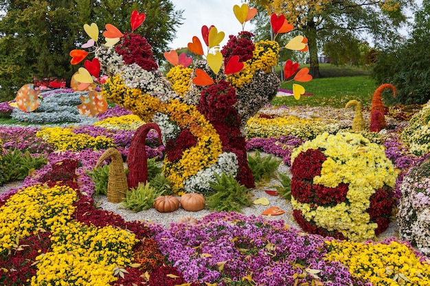 Herbstkompositionen sind aus Chrysanthemen, Herbstchrysanthemenausstellung in Kiew