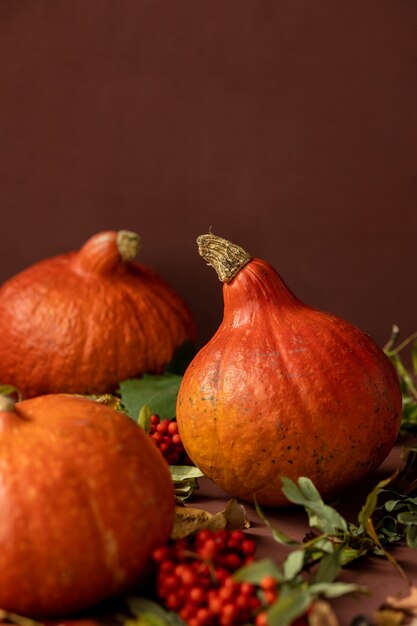 Herbstkonzept mit einem kürbis auf dunklem hintergrund mit herbstblättern, die halloween feiern und