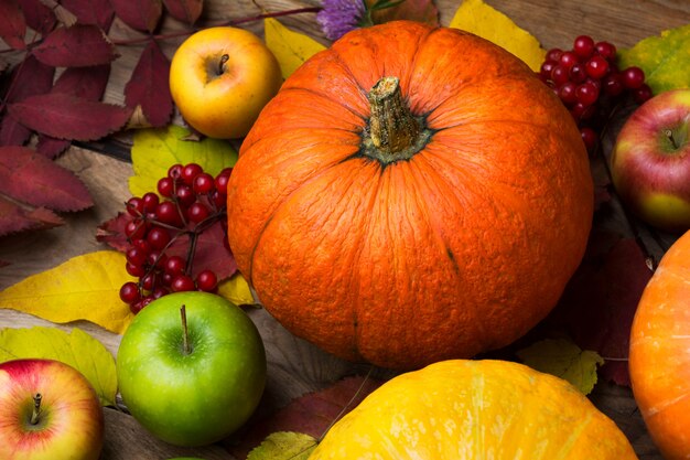 Herbstkonzept mit Kürbis, Apfel und roten Beeren