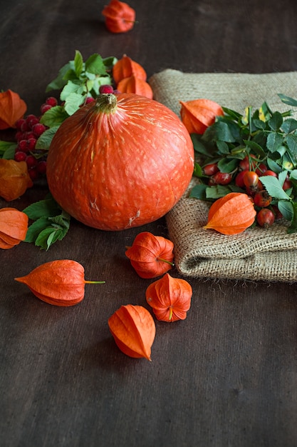 Herbstkonzept mit Obst und Gemüse. Kürbis, Feigen, Herbstlaub.