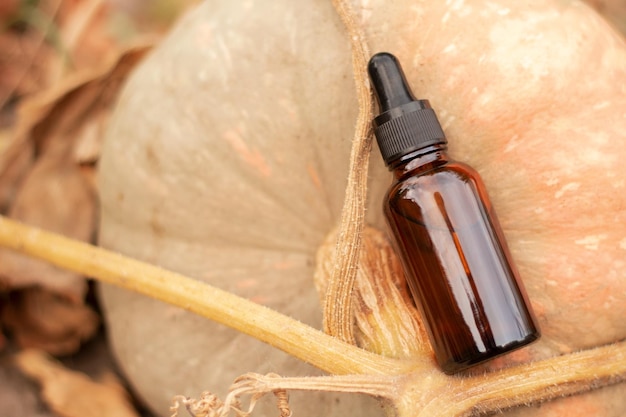 Herbstkosmetik ätherisches Öl getrocknete Blätter auf Kürbis Bio-Körperpflegeprodukte Naturkosmetik-Serum mit Kürbisextrakten zur Hautpflege