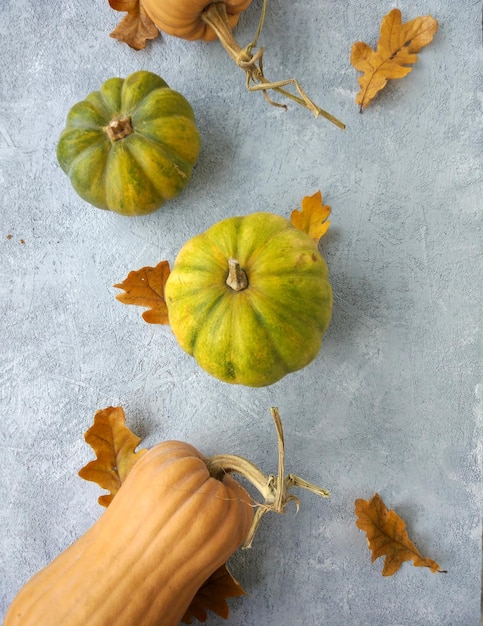 Foto herbstkürbis auf grauem betongrund