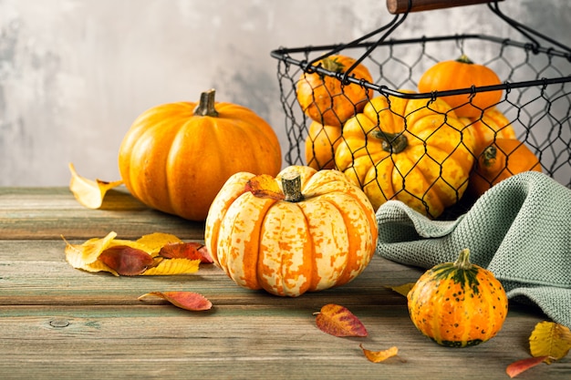 Herbstkürbis-Danksagungshintergrund, verschiedene Kürbisse über grünem Holztisch. Platz kopieren.