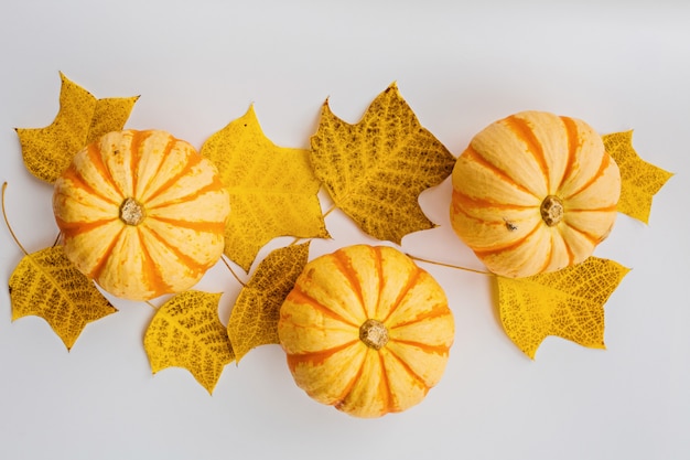 Herbstkürbise und Fallblätter auf Weiß