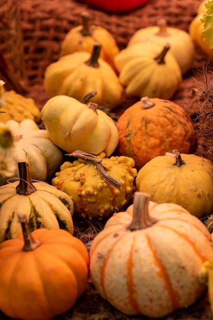 Herbstkürbishintergrund. Nahaufnahme von Minikürbissen am Bauernmarkt.