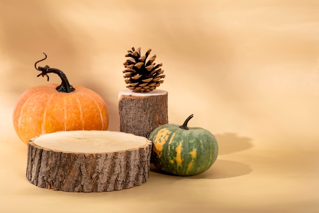 Herbstkürbisse und hölzerne podeste herbsthalloween-konzeptfoto mit freiem platz für text