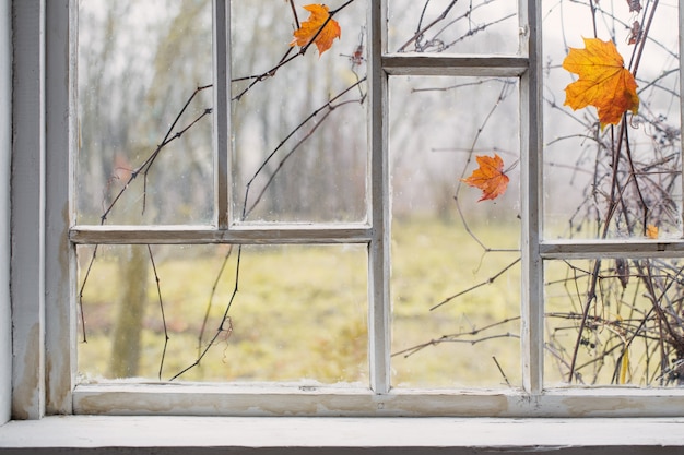 Herbstlandschaft am alten Fenster