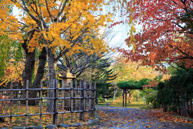 Herbstlandschaft am Nakajima-Park, Sapporo-Stadt, Japan.