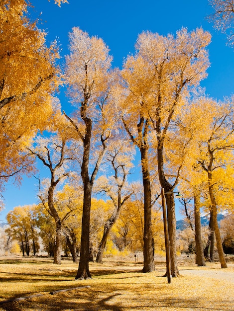 Herbstlandschaft auf der Zapata Ranch, Colorado.